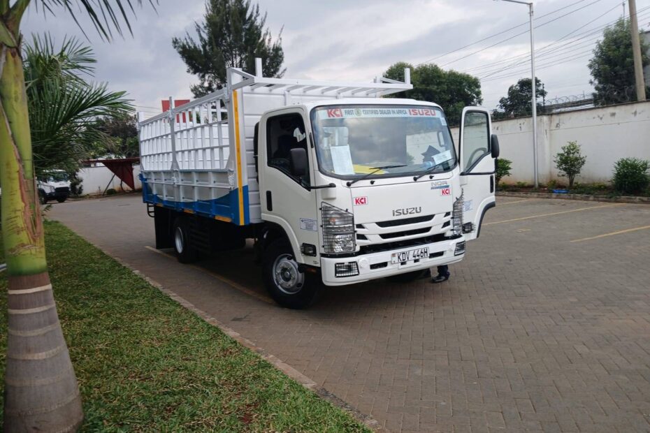 ISUZU NQR 81 Truck